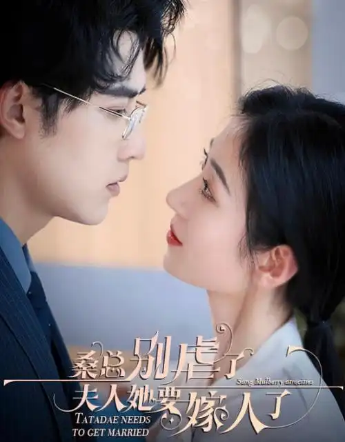 第十三层档案热播电视剧全集在线观看